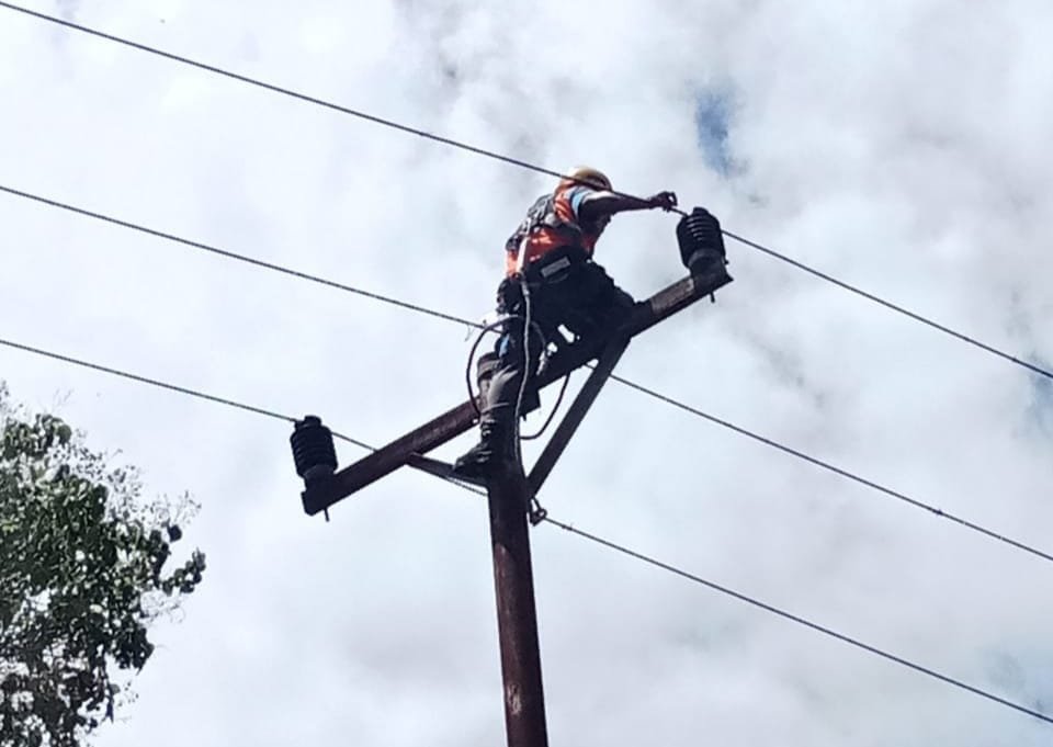 Gerak Cepat PLN ULP Bula Pulihkan Sistem Kelistrikan akibat Pohon Tumbang di Dusun Niff