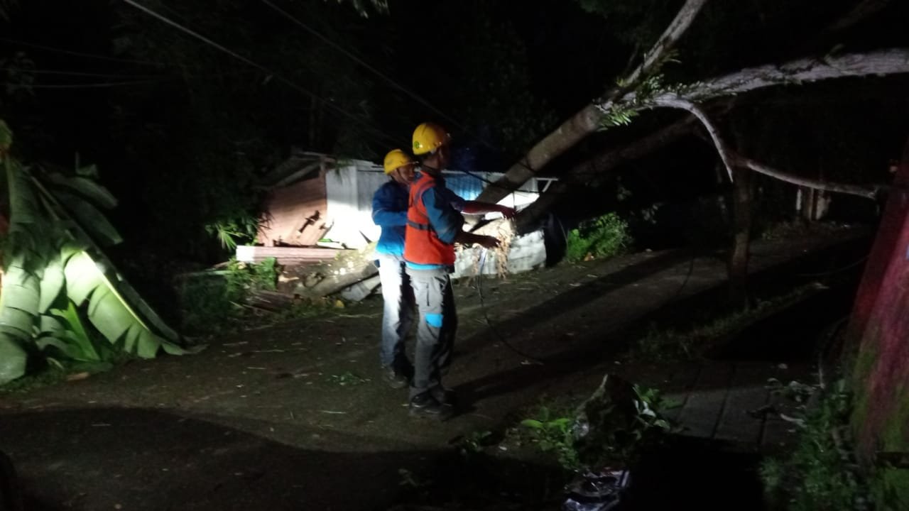 PLN UIW MMU Gerak Cepat Pulihkan Sistem Kelistrikan yang Terganggu akibat Pohon Tumbang di Ambon
