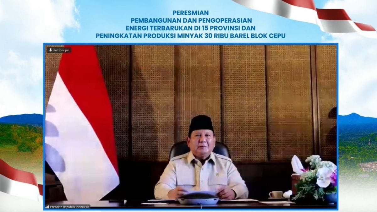47 PLTS Diresmikan Presiden, 5.383 Rumah Tangga di Wilayah 3T Kini Nikmati Listrik Bersih