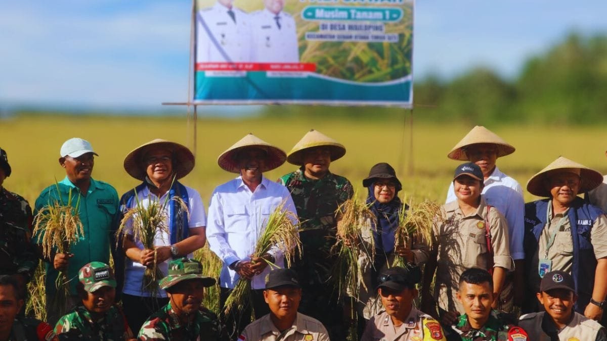 Bupati Malteng Dorong Swasembada Pangan Lewat Panen Raya di Wailoping