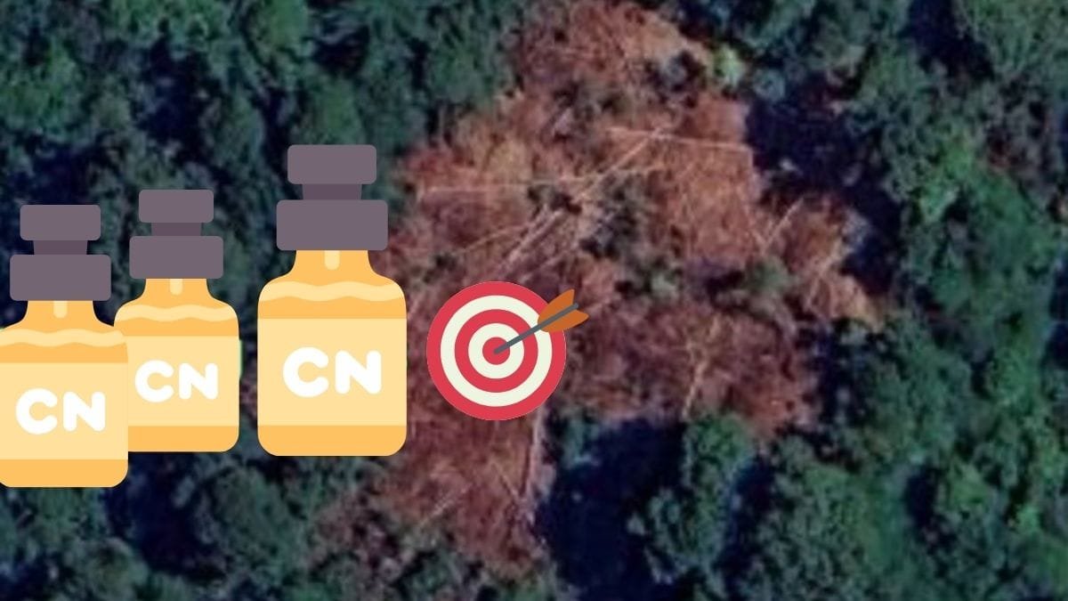 Pitoyo Cs Diduga Alihkan Distribusi Sianida Ke Dua Lokasi Tambang Baru di Pulau Buru