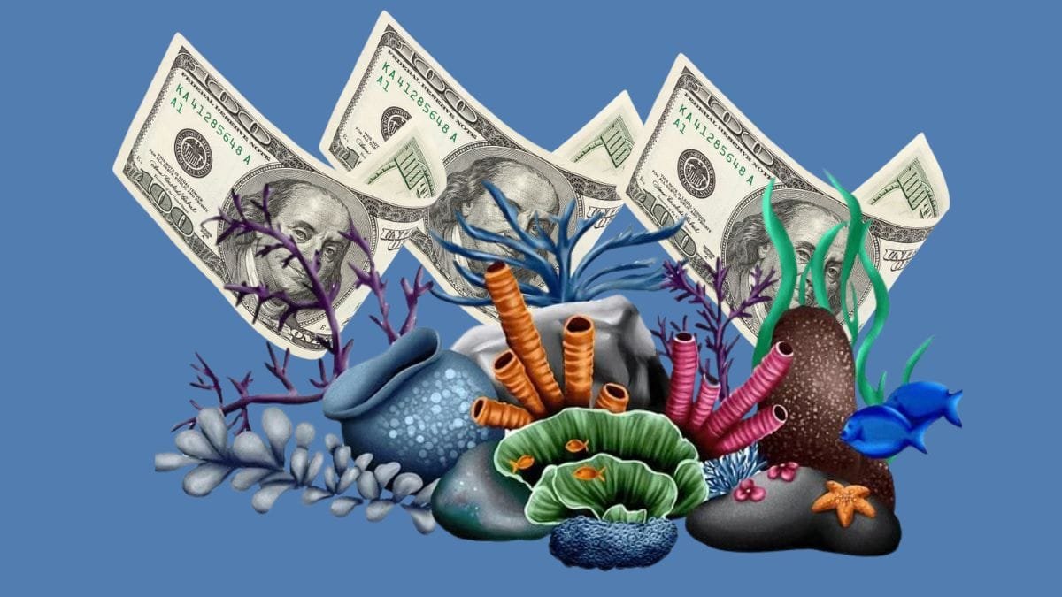 Ini Pandangan Akademisi Soal Pengalihan Utang ke Pengelolaan Kawasan Konservasi di Banda