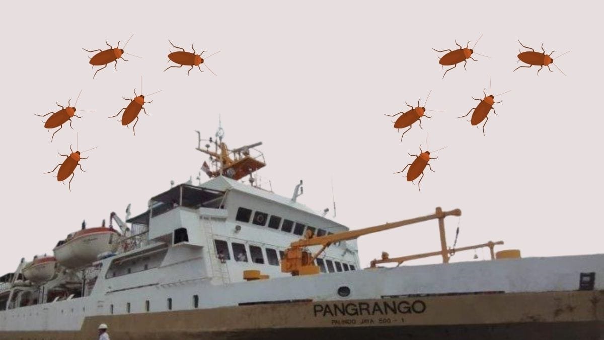 Penumpang Keluhkan Layanan KM Pangrango: Banyak Kecoa dan Ruangan Pengap
