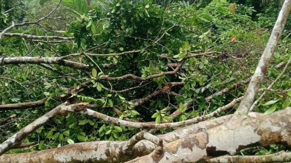 PLN Gerak Cepat Pulihkan Gangguan Listrik di Manipa