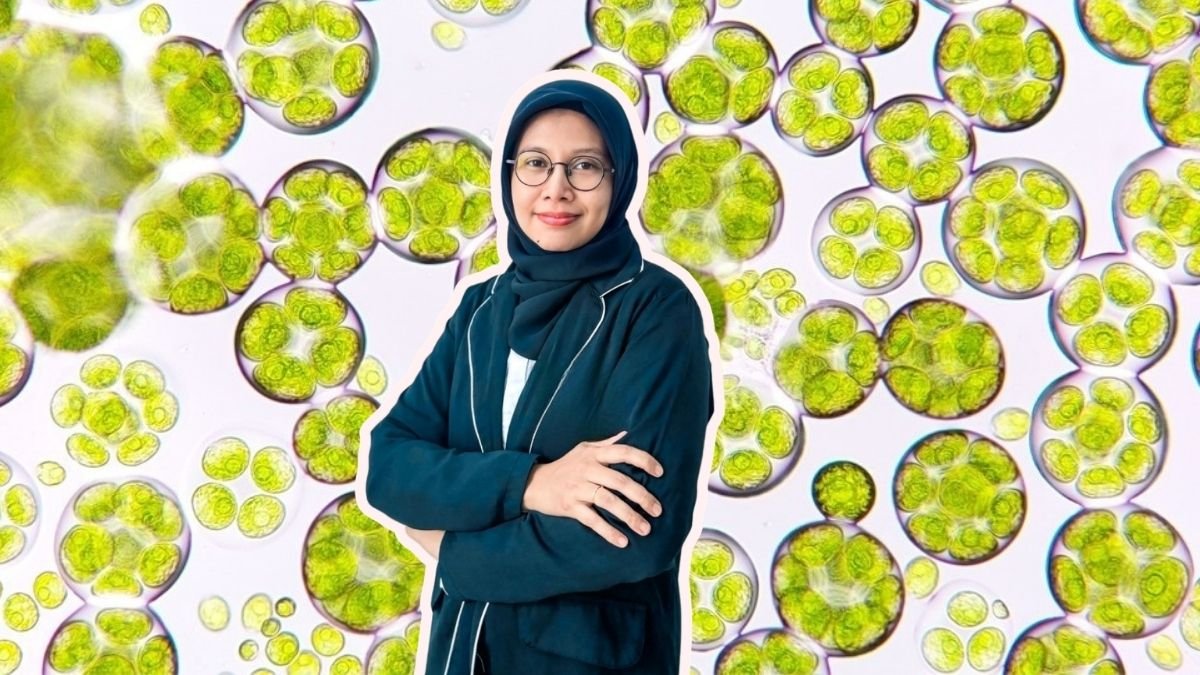 Dikira Lumut, Ternyata Mikroalga: Pentingnya Edukasi Biologi