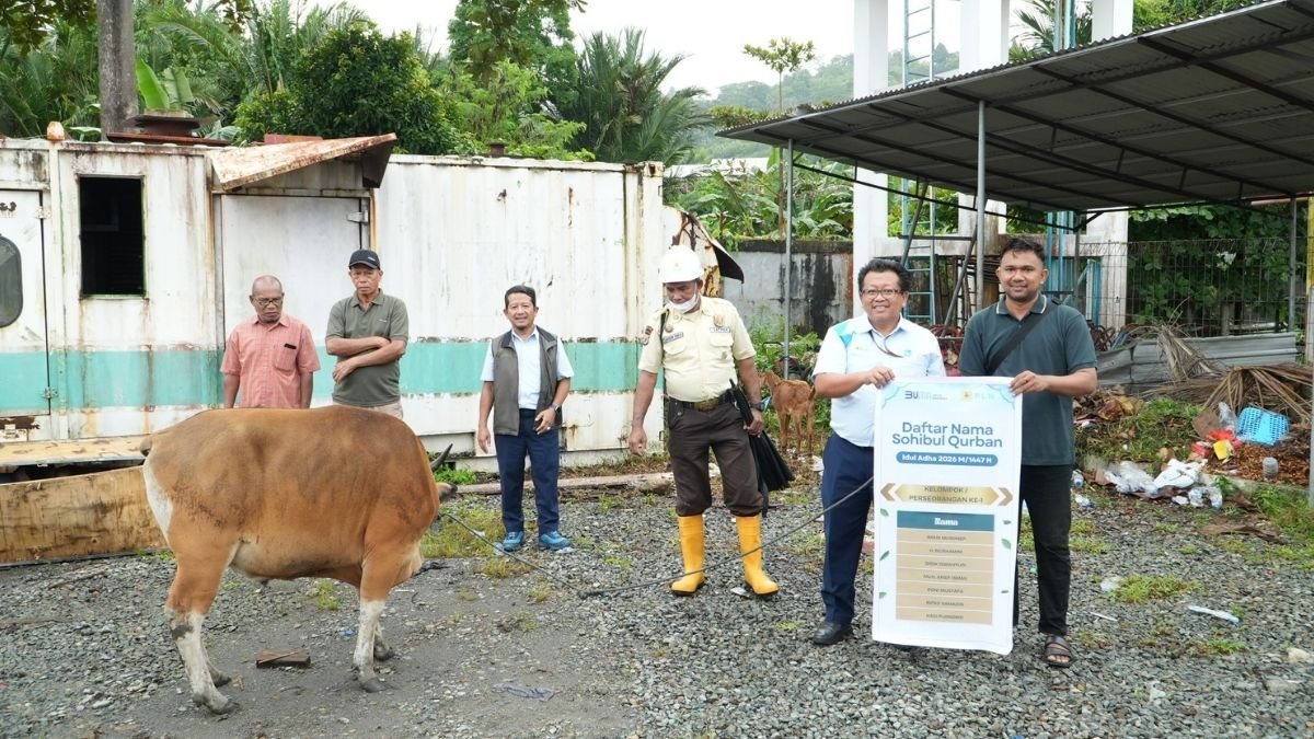 Semangat Iduladha 1447 H, PLN UIW MMU Salurkan 69 Hewan Kurban kepada Masyarakat