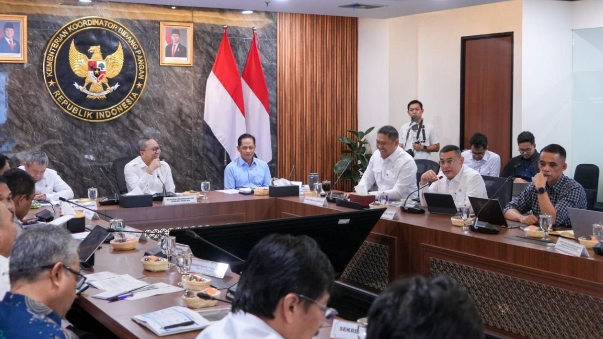 Laporkan Progres Dukungan KSPEAN Papua Selatan, Wamen Ossy Tegaskan Landasan Kuat untuk Agenda Pembangunan Nasional