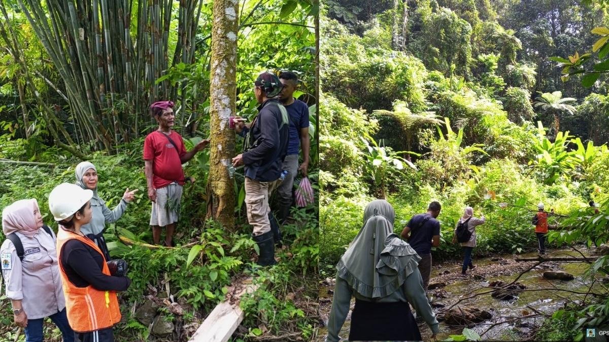 Kantah Buru Selatan dan UPTD KPH Verifikasi Hutan Hak di Desa Oki Lama