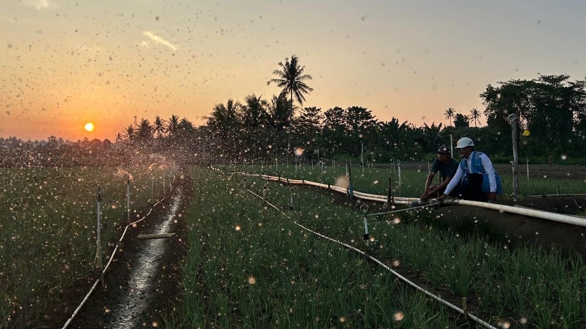 Tarif Listrik Triwulan III 2026 Tetap, PLN Siap Jalankan Kebijakan Pemerintah dan Jaga Kualitas Layanan ke Masyarakat